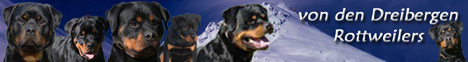 Vom Neuen Schloss Rottweilers