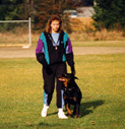 Working Rottweiler