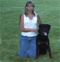 Family Companion Rottweiler