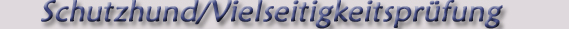 Schutzhund/ Vielseitigkeitspr�fung f�r Gebrauchshunde 